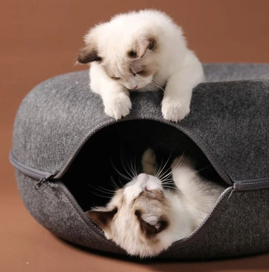 Donut shaped Cat Tunnel / Bed