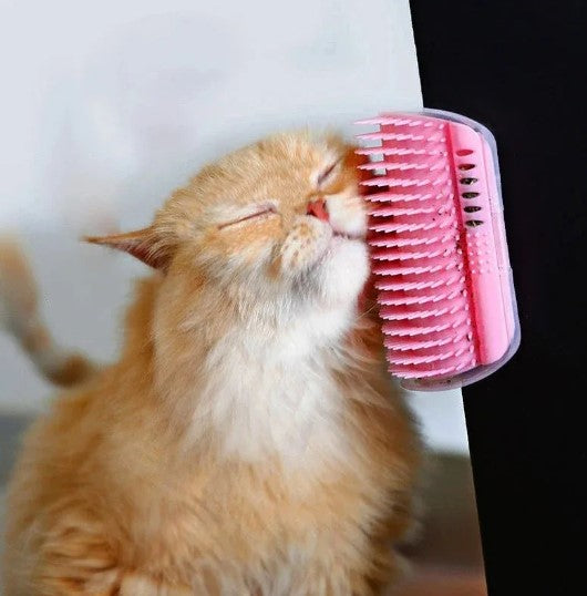 Cat Comb Self Groomer (fixes on corners of a wall etc)